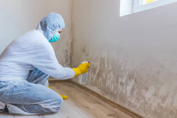 Licensed Bathroom Mold Removal service in Westminster, MD - WQB Mold Removal