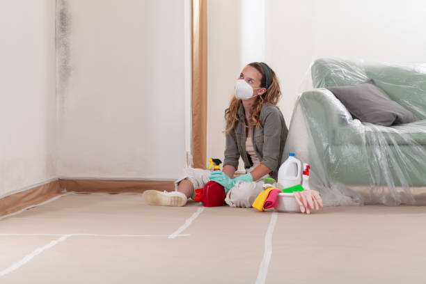 Reliable Bathroom Mold Removal contractor in Westminster, MD by WQB Mold Removal